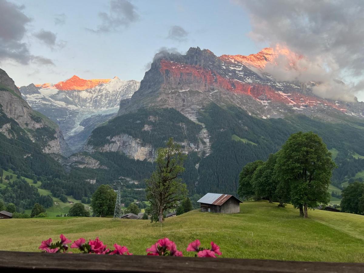 Hotel Bodmi Grindelwald Extérieur photo