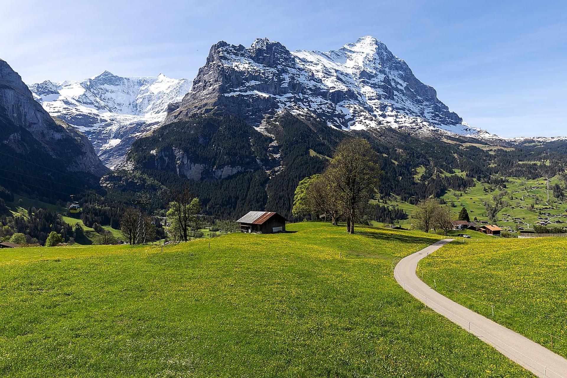 Hotel Bodmi Grindelwald Extérieur photo