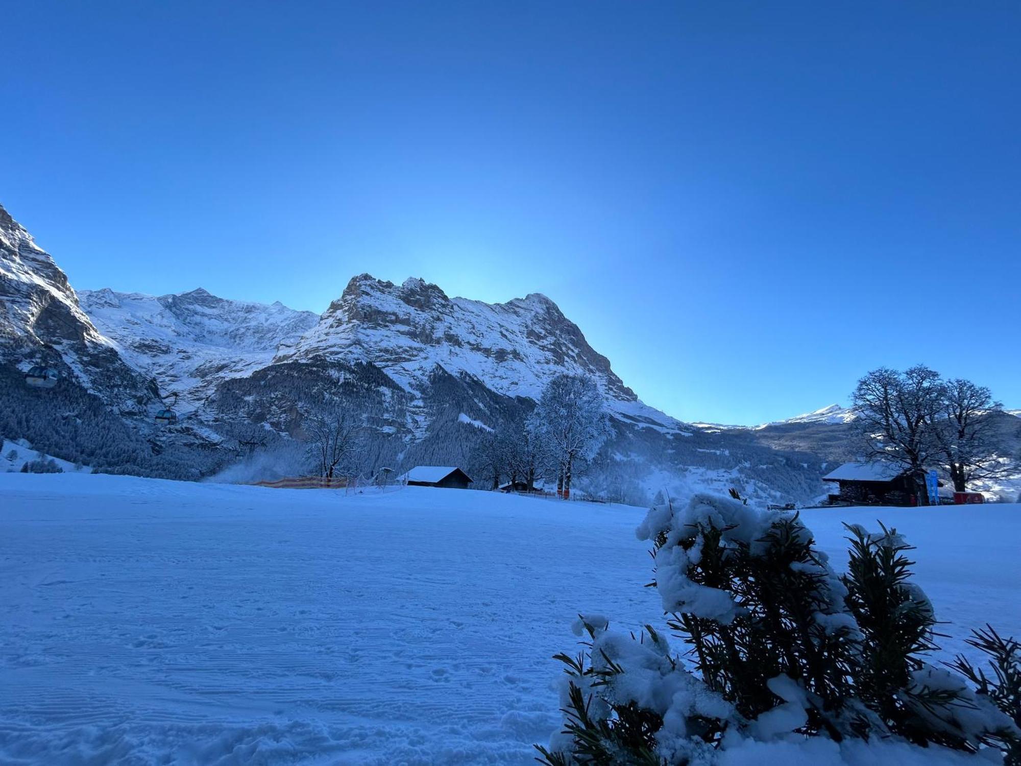 Hotel Bodmi Grindelwald Extérieur photo