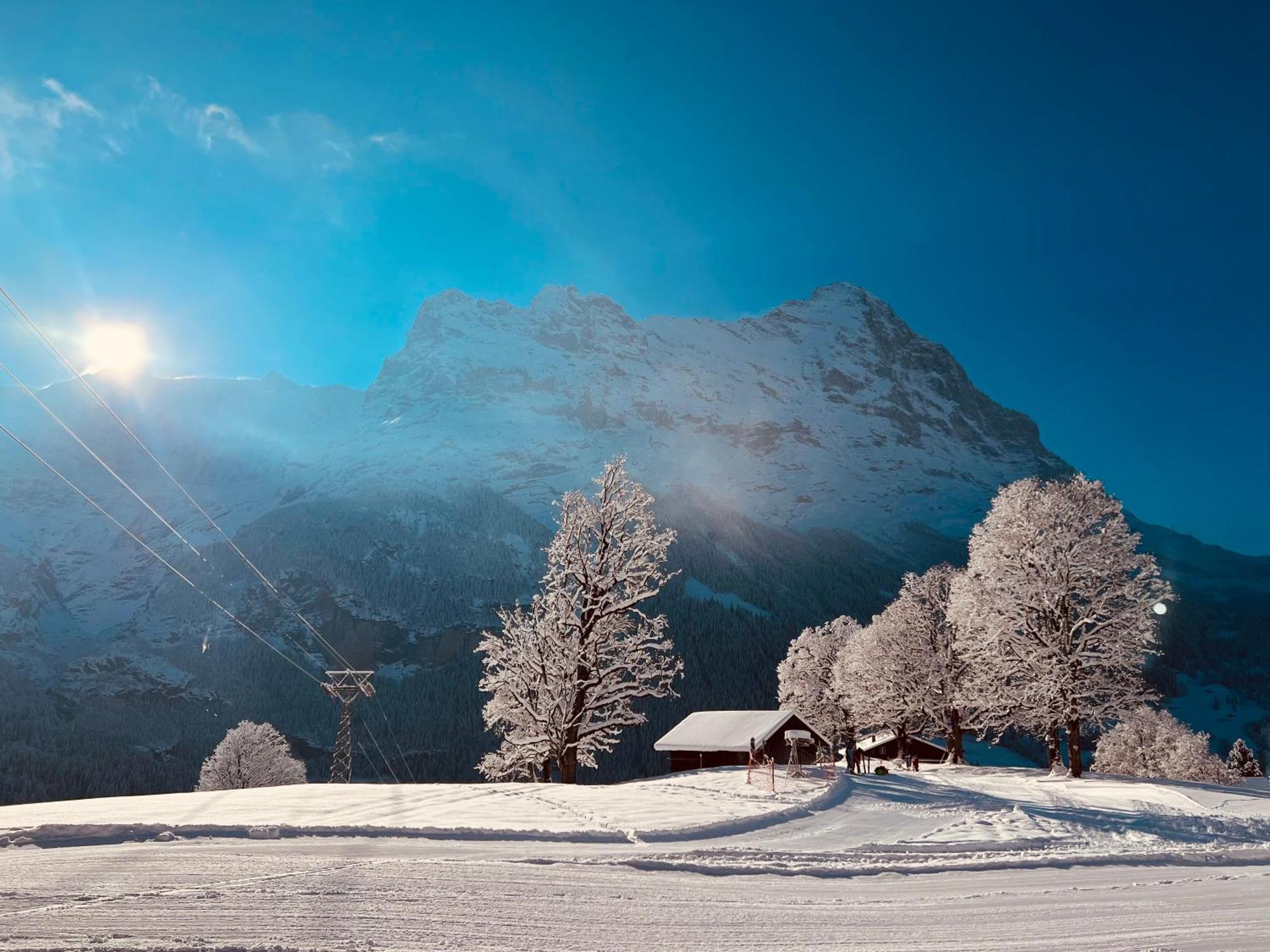 Hotel Bodmi Grindelwald Extérieur photo