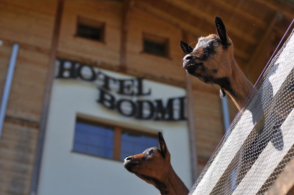 Hotel Bodmi Grindelwald Extérieur photo